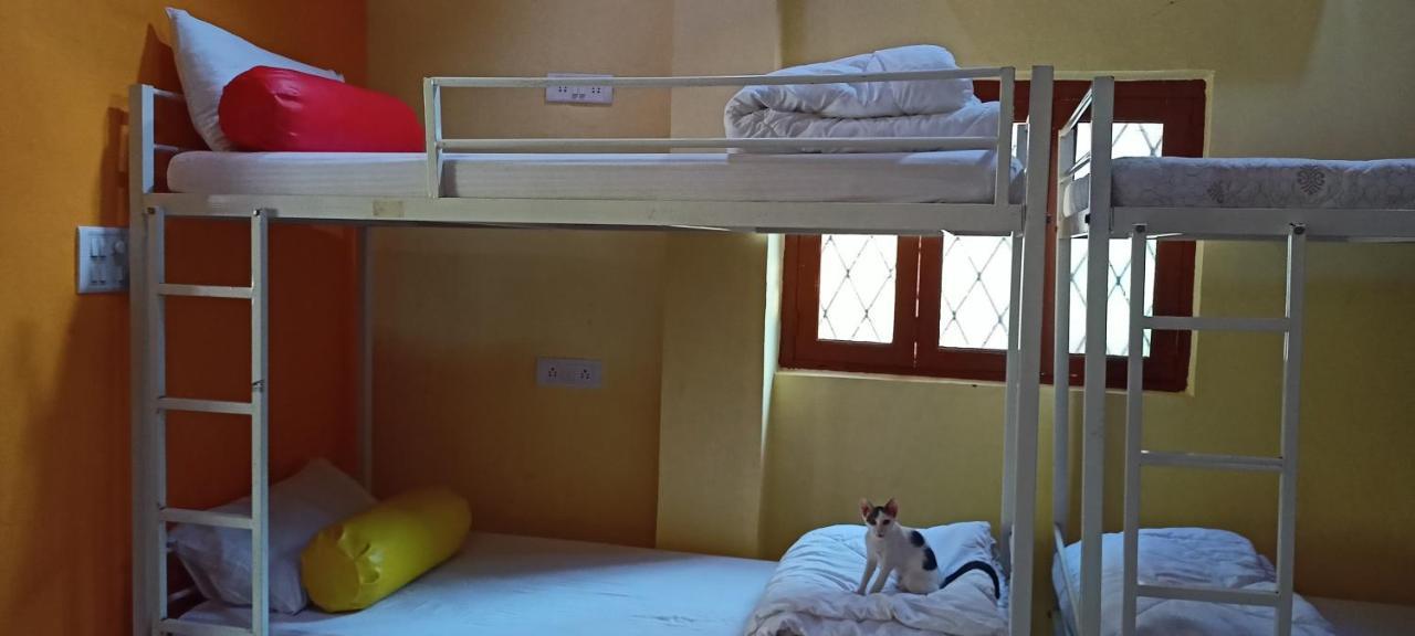 Red Monkeys Hostel 아람볼 외부 사진